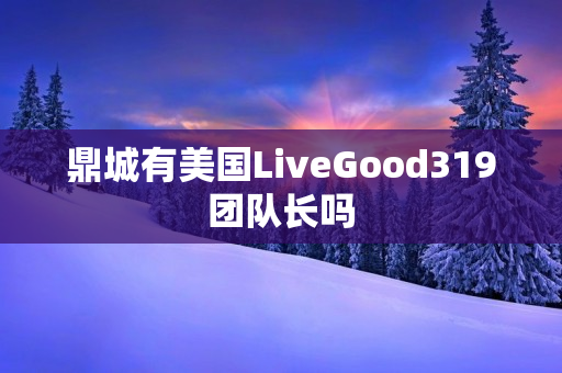 鼎城有美国LiveGood319团队长吗