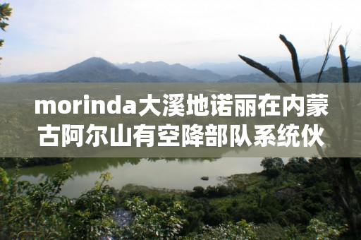 morinda大溪地诺丽在内蒙古阿尔山有空降部队系统伙伴吗