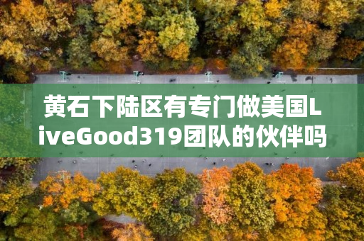 黄石下陆区有专门做美国LiveGood319团队的伙伴吗