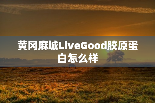 黄冈麻城LiveGood胶原蛋白怎么样