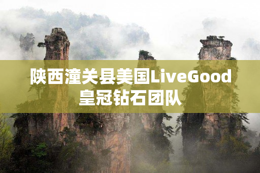 陕西潼关县美国LiveGood皇冠钻石团队