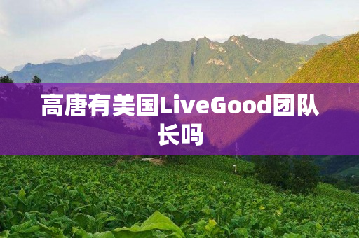 高唐有美国LiveGood团队长吗