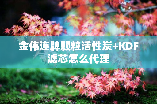 金伟连牌颗粒活性炭+KDF滤芯怎么代理