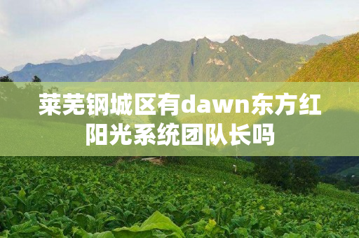 莱芜钢城区有dawn东方红阳光系统团队长吗