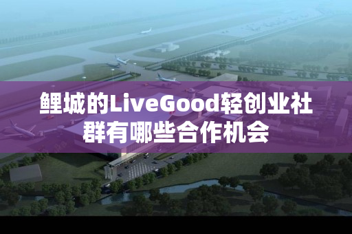 鲤城的LiveGood轻创业社群有哪些合作机会