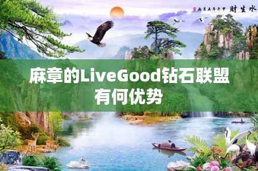 麻章的LiveGood钻石联盟有何优势