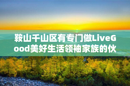 鞍山千山区有专门做LiveGood美好生活领袖家族的伙伴吗