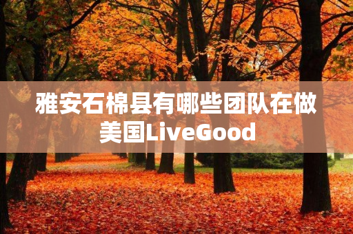 雅安石棉县有哪些团队在做美国LiveGood