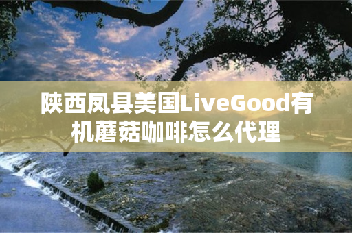 陕西凤县美国LiveGood有机蘑菇咖啡怎么代理