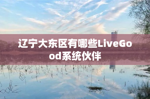 辽宁大东区有哪些LiveGood系统伙伴