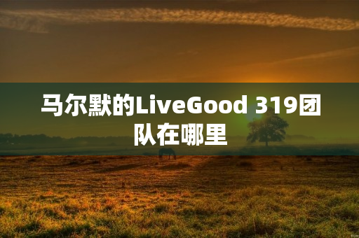 马尔默的LiveGood 319团队在哪里