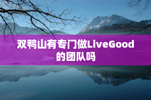 双鸭山有专门做LiveGood的团队吗