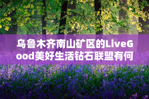 乌鲁木齐南山矿区的LiveGood美好生活钻石联盟有何优势