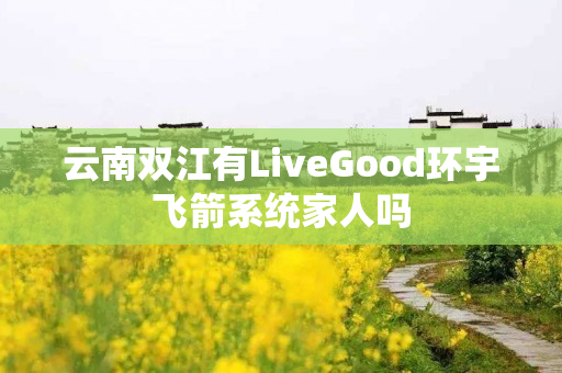 云南双江有LiveGood环宇飞箭系统家人吗