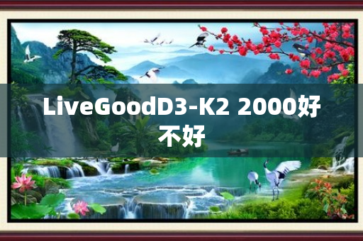 LiveGoodD3-K2 2000好不好