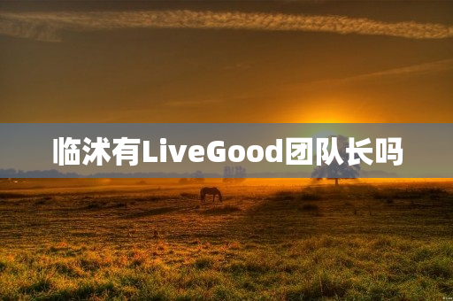 临沭有LiveGood团队长吗