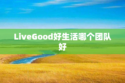 LiveGood好生活哪个团队好