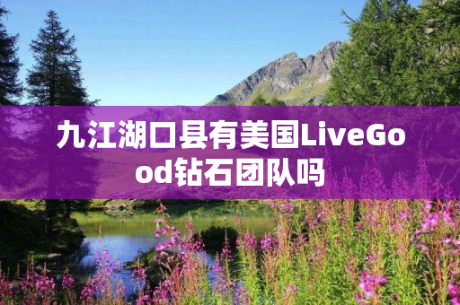 九江湖口县有美国LiveGood钻石团队吗