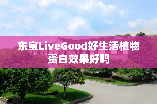 东宝LiveGood好生活植物蛋白效果好吗