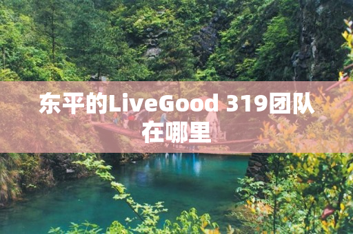 东平的LiveGood 319团队在哪里