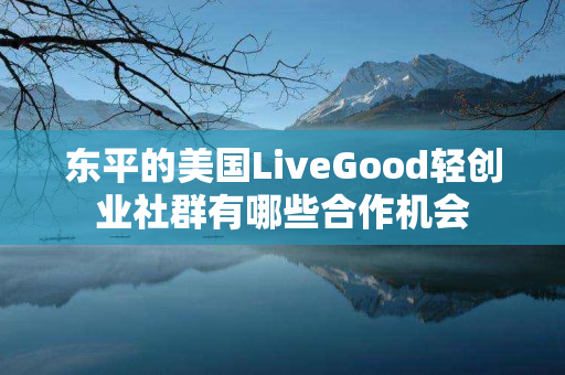 东平的美国LiveGood轻创业社群有哪些合作机会