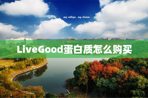 LiveGood蛋白质怎么购买