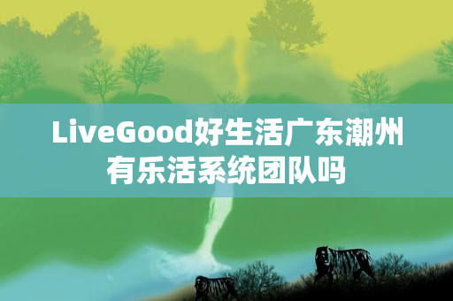 LiveGood好生活广东潮州有乐活系统团队吗