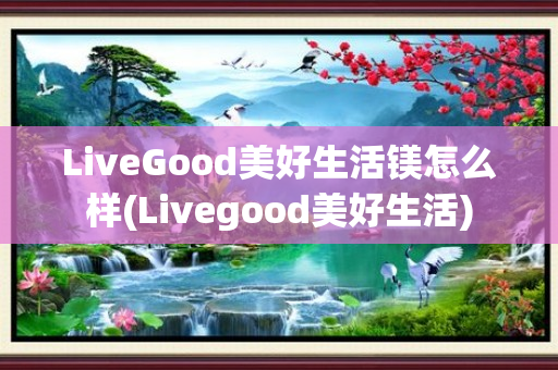 LiveGood美好生活镁怎么样(Livegood美好生活)