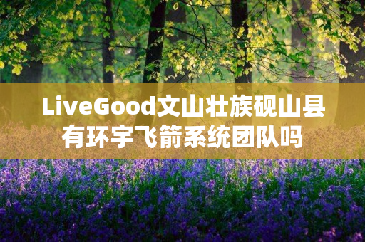 LiveGood文山壮族砚山县有环宇飞箭系统团队吗