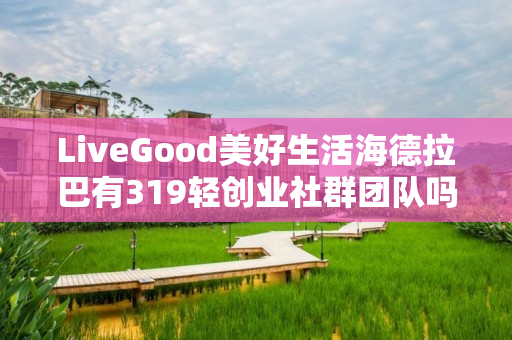 LiveGood美好生活海德拉巴有319轻创业社群团队吗