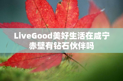 LiveGood美好生活在咸宁赤壁有钻石伙伴吗