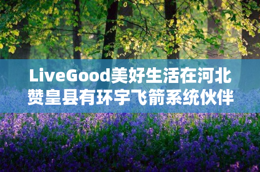 LiveGood美好生活在河北赞皇县有环宇飞箭系统伙伴吗