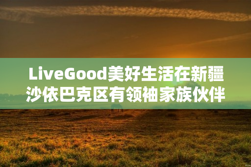 LiveGood美好生活在新疆沙依巴克区有领袖家族伙伴吗