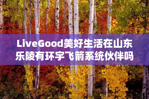 LiveGood美好生活在山东乐陵有环宇飞箭系统伙伴吗