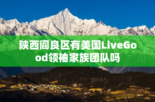 陕西阎良区有美国LiveGood领袖家族团队吗