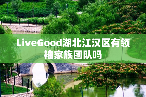 LiveGood湖北江汉区有领袖家族团队吗