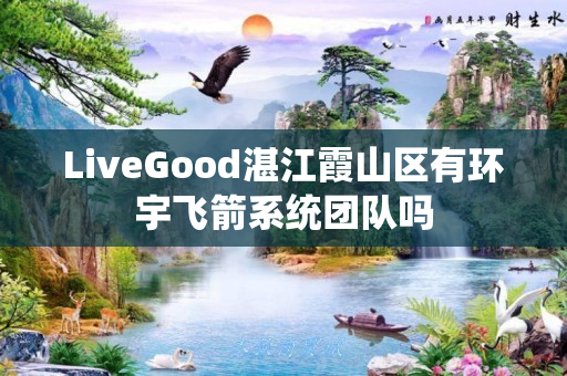 LiveGood湛江霞山区有环宇飞箭系统团队吗