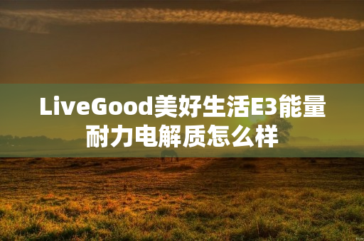 LiveGood美好生活E3能量耐力电解质怎么样