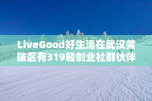 LiveGood好生活在武汉黄陂区有319轻创业社群伙伴吗