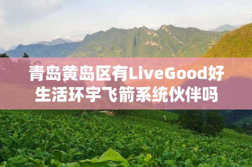 青岛黄岛区有LiveGood好生活环宇飞箭系统伙伴吗