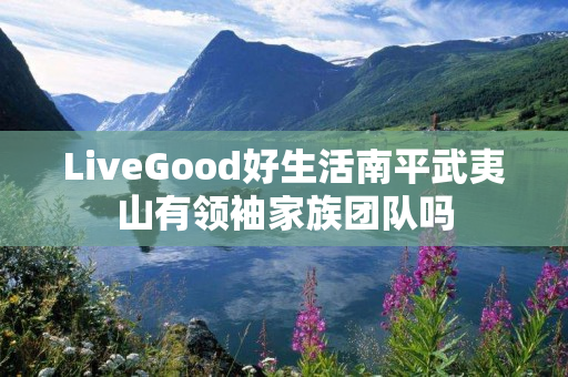 LiveGood好生活南平武夷山有领袖家族团队吗