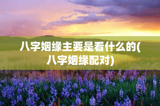 八字姻缘主要是看什么的(八字姻缘配对)