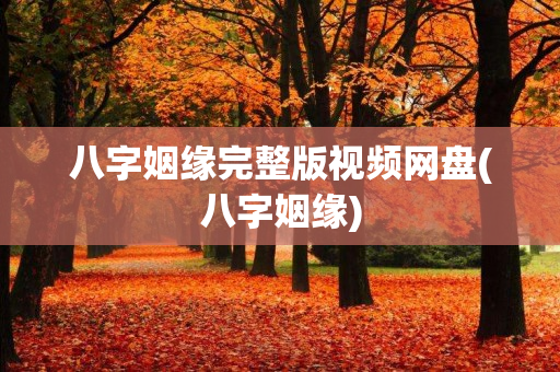 八字姻缘完整版视频网盘(八字姻缘)