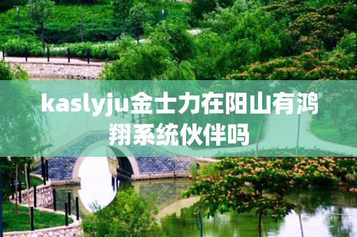 kaslyju金士力在阳山有鸿翔系统伙伴吗