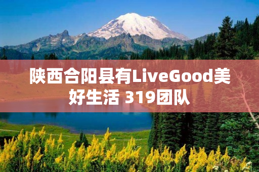 陕西合阳县有LiveGood美好生活 319团队