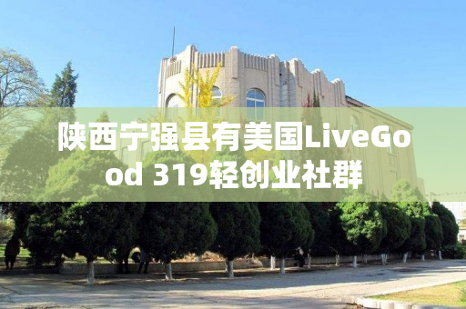 陕西宁强县有美国LiveGood 319轻创业社群