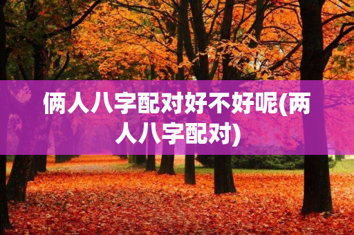 俩人八字配对好不好呢(两人八字配对)