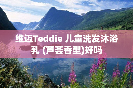 维迈Teddie 儿童洗发沐浴乳 (芦荟香型)好吗