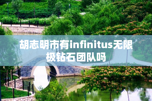 胡志明市有infinitus无限极钻石团队吗