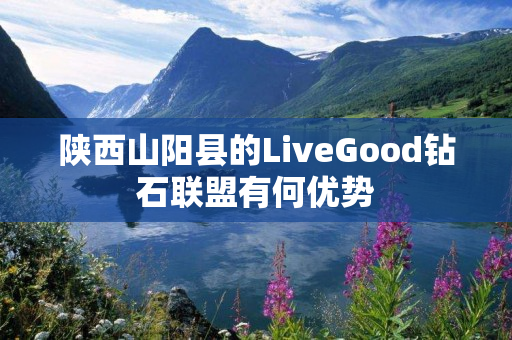 陕西山阳县的LiveGood钻石联盟有何优势